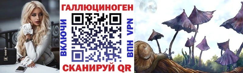 Купить  Кирово-Чепецк  Псилоцибиновые грибы Magic Shrooms 