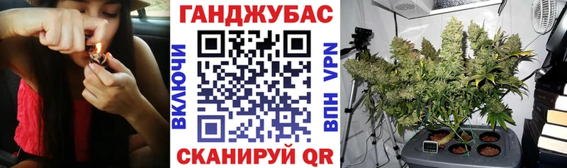 Купить закладки Кирово-Чепецк Канабис сатива